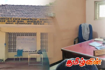 வவுனியாவில் அரச கால்நடை வைத்தியர்கள் பணிப்புறக்கணிப்பு: பொதுமக்கள் அவதி