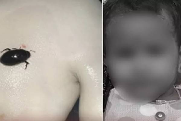 மூச்சுக்குழாயில் புகுந்த வண்டு - மூச்சுத் திணறி இறந்த குழந்தை! | Child Dies After Insect Bite Thiruvallur