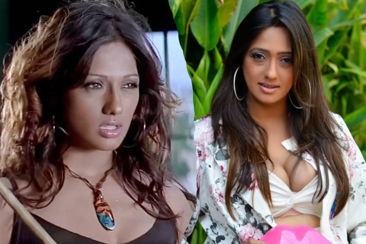 போக்கிரி பட மோனாவா இது!! 41 வயதில் பிருந்தா பரேக் எப்படி இருக்காங்க தெரியுமா.. | Pokkiri Movie Actress Brinda Parekh Recent Photos