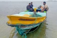 மன்னார், யாழ்ப்பாணத்தில் சிக்கிய 07 பேர் ; அரங்கேறிய சட்டவிரோத செயல் அம்பலம்