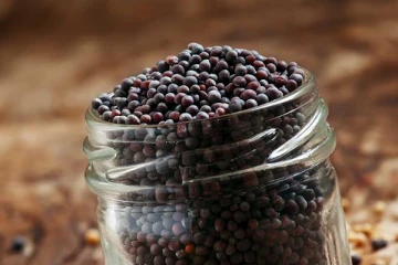 தாளிக்க பயன்படுத்தும் கடுகில் இவ்வளவு நன்மைகளா? இனி ஒதுக்கவே மாட்டீர்கள்....!