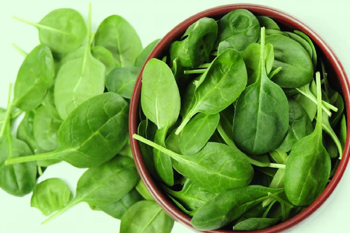 இதய ஆரோக்கியம் முதல் கண்பார்வை வரை.. அற்புதம் செய்யும் பசலை கீரை! இப்படி சாப்பிடுங்க | Pasalai Keera Thokku Health Benefits In Tamil