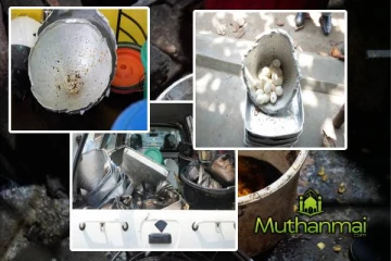 கல்முனையில் முன்னெடுக்கப்பட்ட விசேட சோதனை