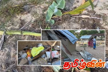மூதூரில் அதிகரிக்கும் காட்டு யானைகளின் அட்டகாசம்