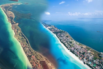 உக்ரைன் - ரஷ்யா போரில் சண்டையிட தனது குடிமக்கள் ஈர்க்கப்பட்டதாக கூறும் கியூபா!