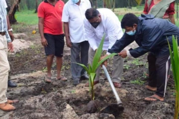 தென்னை பயிர்ச்செய்கை  மூலம் அதிகளவில் வருமானம் கிடைக்கப்பெற்றுள்ளது : அருந்திக்க பெர்னாண்டோ( PHOTOS)