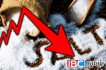 சடுதியாக குறைந்த உப்பு விலை: ஏற்பட்டுள்ள சிக்கல்
