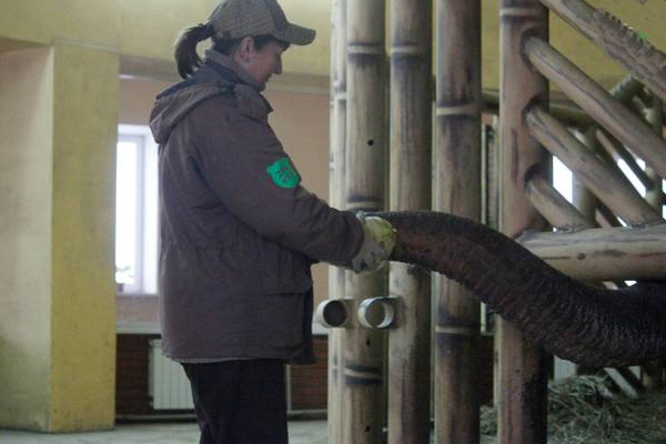 உக்ரைன் மிருகக்காட்சிசாலையில் 4000 விலங்களுடன் வசித்து வரும் பணியாளர்கள்! | Russian Army Attack War Ukraine Zoo Staff