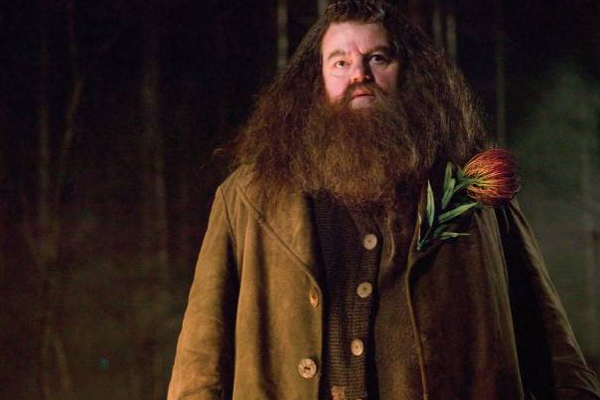 ஹரிபார்ட்டர் திரைப்படத்தில் நடித்த முக்கிய நடிகர் காலமானார்! | Harry Potter Movie Actor Robbie Coltrane Died