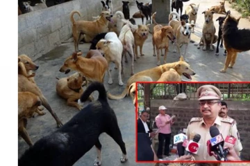 2 ஆண்டுகளாக 20 நாய்களுடன் அடைத்து வைக்கப்பட்ட 11 வயது சிறுவன் - என்ன நடந்தது?