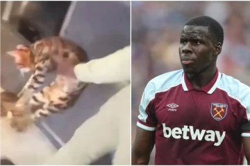 பிரித்தானியாவில் பூனையை தூக்கிப்போட்டு ஃபுட்பால் ஆடிய வீரர்! விதிக்கப்பட்ட தண்டனை..