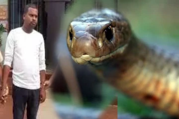 ஈவிரக்கமின்றி பாம்பைவிட்டு கடிக்க வைத்து மனைவி, மகளை கொன்ற இளைஞர்!