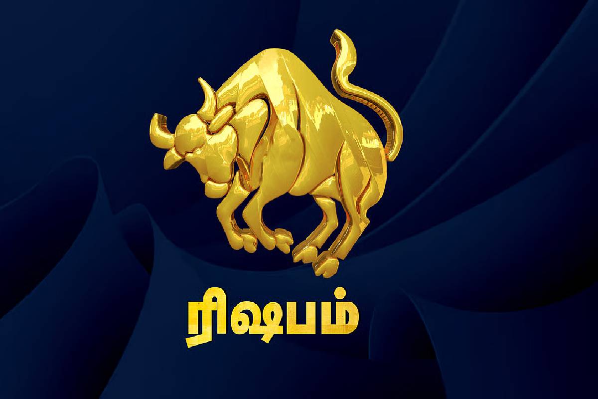 சனி-சுக்கின் உருவாக்கும் அரிய யோகம்: இன்று முதல் இந்த ராசிகளுக்கு அதிர்ஷ்டம் தான்! | Venus Saturn Creates Trikon Rajyog Who Get Luck