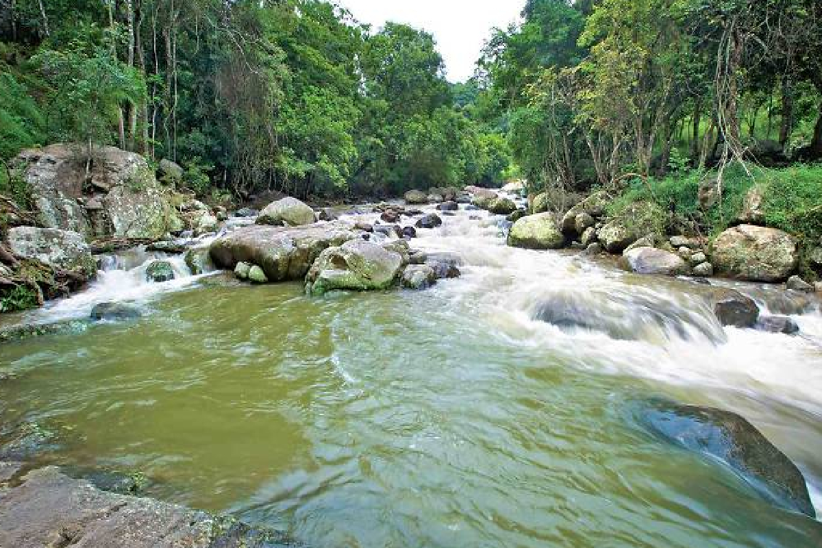 புத்தாண்டில் நீராட சென்ற ஒரே குடும்பத்தை சேர்ந்த மூவருக்கு நேர்ந்த சோகம் | Three Members Of The Same Family Go Missing River