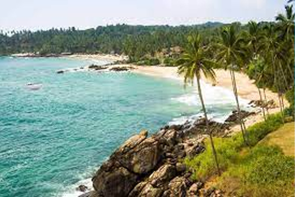 இலங்கையில் இருந்து இந்தியாவிற்கு தப்பிச் சென்ற 8 பேர் நடுக்கடலில் தத்தளிப்பு | 8 People Escaped From Sri Lanka To India