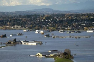 பிரிட்டிஷ் கொலம்பியாவில் ஆயிரக்கணக்கான பண்ணை விலங்குகள் உயிரிழப்பு