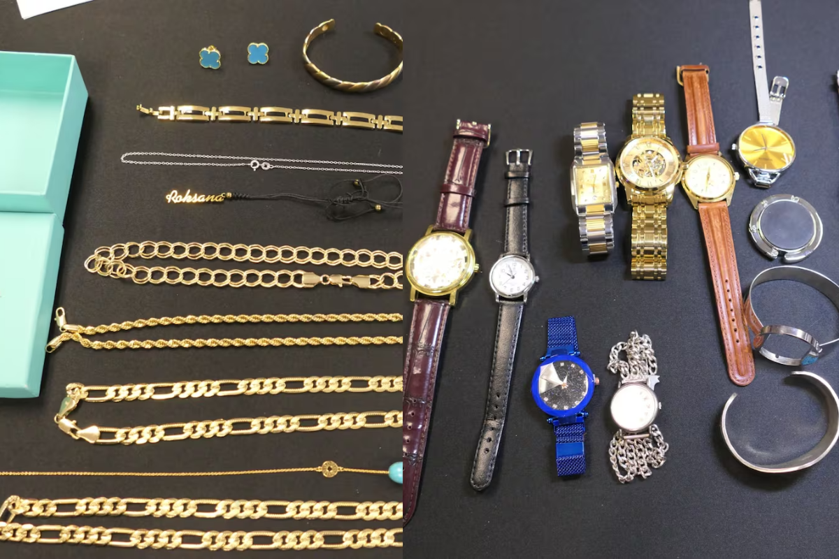 கனடாவில் 100-க்கும் மேற்பட்ட வீடுகளில் கொள்ளை: 33 பேர் கைது | 33 People Charged After More Than 2M Worth