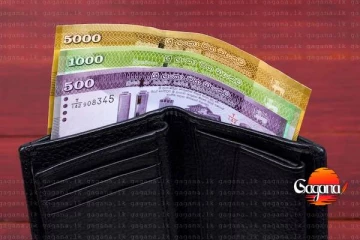 සිහින දැකපු වැටුප බැංකු ගිණුම් වලට