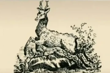 Optical Illusion: இந்த படத்தில் மறைந்திருக்கும் நாய்குட்டியை முடிந்தால் கண்டுபிடியுங்கள்