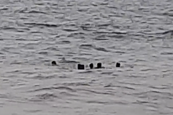 நீர்கொழும்பில் நீராடச் சென்ற மூன்று இளைஞர்கள் மாயம் | Three Young Men Missing In Negombo