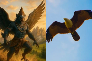 உங்கள் வீட்டை அடிக்கடி கருடன் வட்டமிடுகிறதா? இது தான் காரணமாம்