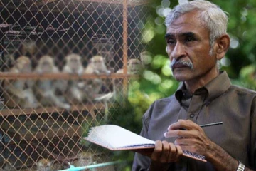 චීනයට යන්න වීසා ලැබුණු රිලවුන් ගැන සැකයක්..? චීනය රිලවුන් ඉල්ලන්නේ ඇයි..?