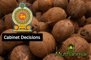 தேங்காய் தட்டுப்பாடுக்கு புதிய தீர்வு!