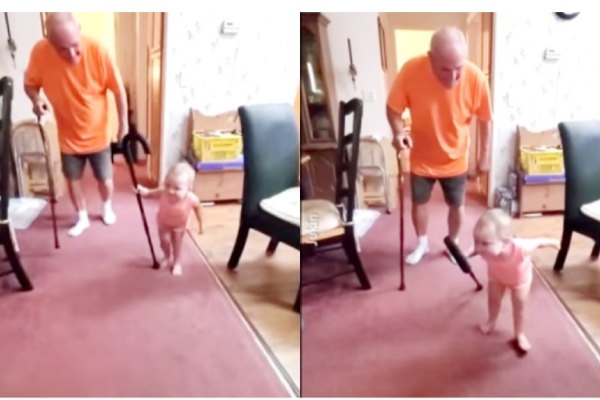 எப்பா... என்ன நடிப்புடா சாமி... தாத்தாவை போல ஆட்டிங் செய்து காட்டிய குழந்தை வீடியோ வைரல்! | Entertainment Viral Video