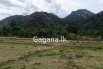 ඔබත් සැලකිලිමත්වන්න - වගා නොකළ ඉඩම් සඳහා බද්දක්