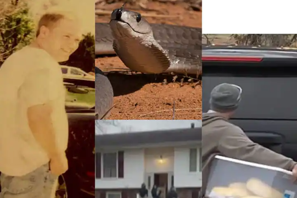 இறந்து போன முதியவரை சுற்றி கிடந்த 125 விஷப் பாம்புகள் - அதிர்ச்சியடைந்த பொதுமக்கள் - தமிழ்நாடு