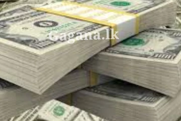 ඩොලරය ගැන සඳහන් කරමින් මහ බැංකුවෙන් විශේෂ නිවේදනයක් මෙන්න..(PHOTO)