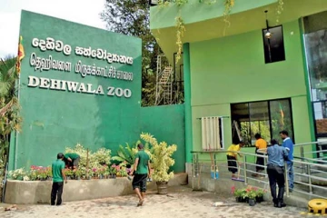 சிறுவர்கள் மற்றும் வயோதிபர்களுக்கு வழங்கப்பட்டுள்ள வாய்ப்பு!