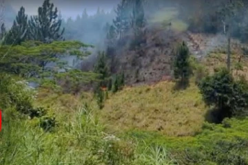 අක්කර 20ක් අළු කරමින් ගිනිගත්හේන ෆයිනස් රක්ෂිතයේ දරුණු ගින්නක් - දිගටම පැතිරේ