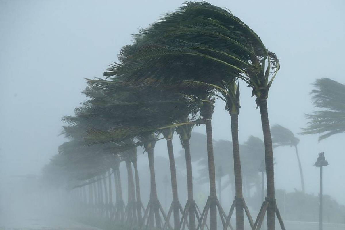 பலத்த மின்னல் தாக்கம் : வளிமண்டலவியல் திணைக்களம் எச்சரிக்கை | Severe Lightning Strike Meteorological Dept Warns