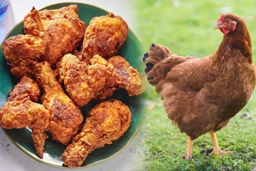 இலங்கையில் கோழி இறைச்சி சாப்பிடுவோருக்கு எச்சரிக்கை