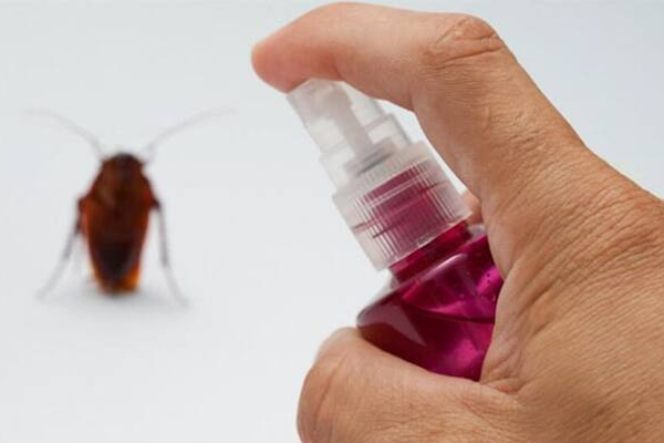 கரப்பான் பூச்சியை கொல்ல முயன்று வீட்டை எரித்த பரிதாபம் | The Pity Of Burning Down House Trying Cockroach