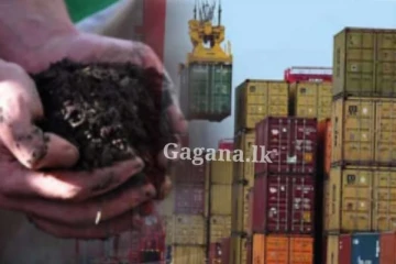 කොළඹ වරායේ පොහොර ටෙන්ඩරය පාතාලය සතු වෙයි ද?