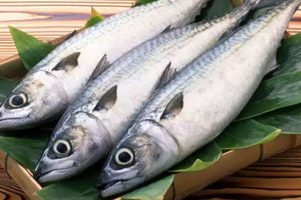 மீன்களின் விலையை குறைக்க முடியாது | Price Of Fish Cannot Be Reduced