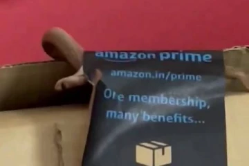 Amazon -ல் Xbox ஓர்டர் செய்தவருக்கு பாம்பு டெலிவரி.., ஸ்டிக்கர் இருந்ததால் அசம்பாவிதம் தவிர்ப்பு