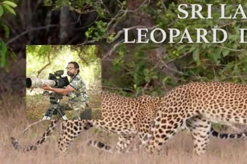 இலங்கையில் விலங்குகள் தொடர்பான முதல் ஆவணப்படம் தயாரிப்பு