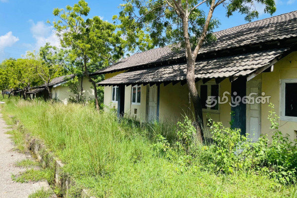 மக்களுக்கு கையளிக்கப்படாமல் காடு மண்டிக் கிடக்கும் வீடுகள்! 21 வருட அவல நிலை | Akkaraipattu Tsunami Houses Land Delay