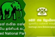 ஐ.ம. சக்தி -ஐ.தே.க இணைப்பில் ஏற்பட்டுள்ள திடீர் திருப்பம்! முதல்நிலையை விடுத்து தீட்டப்படும் திட்டம்..