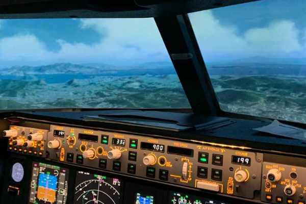 பறக்கும்விமானத்தில் மாணவியுடன் பாலியலுறவு : வீடியோவா வெளியானதால் பரபரப்பு - தமிழ்நாடு