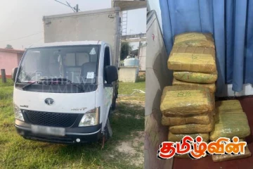 கிளிநொச்சியில் கஞ்சாவுடன் இருவர் கைது