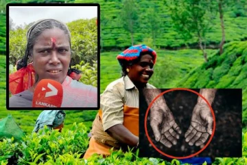 உழைப்பை வாங்கிக்கொண்டு ஏமாற்றும் கம்பனிகள்! வலிகள் நிறைந்த குரல்கள்