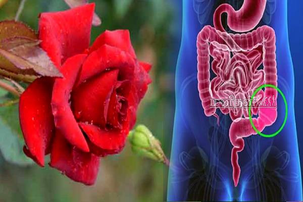 மலச்சிக்கலுக்கு உடனடி தீர்வு கொடுக்கும் பூ.. உங்க வீட்டில் இருந்தால் செய்து பாருங்க | Flowers Medicinal Uses In Tamil