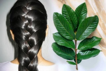 முடி வளர்ச்சியை வேகமாக அதிகரிக்க இந்த ஒரு இலை போதும்: எப்படி பயன்படுத்துவது?