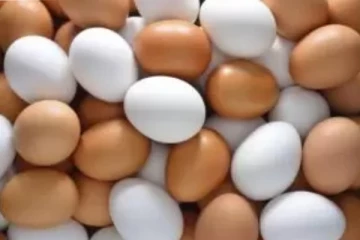 අද සිට බිත්තර මිල අඩු වෙයි..විකුනන්න පුලුවන් නව මිල මෙන්න...