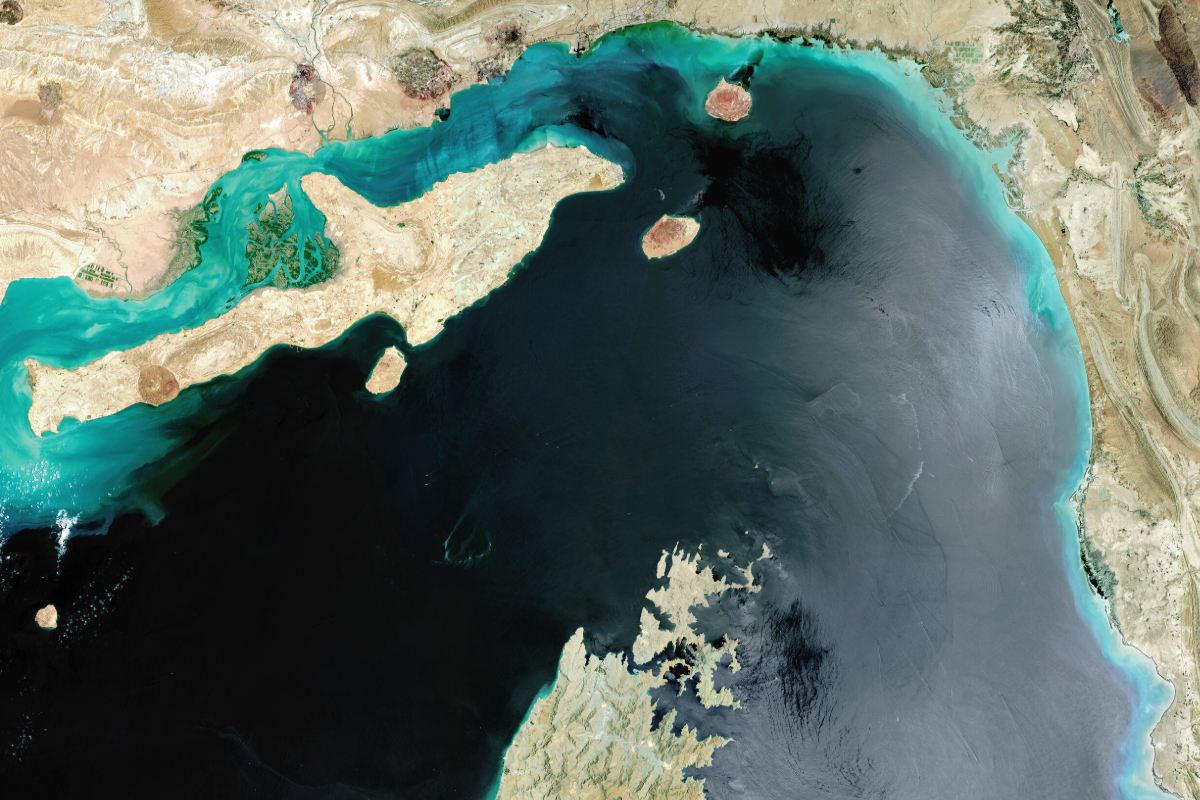 மத்திய கிழக்கு போர் : இலங்கையின் தெங்கு ஏற்றுமதியில் ஏற்பட்டுள்ள சவால்கள் | Middle East Crisis Sri Lankas Coconut Exports