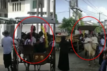 நெருக்கடியின் உச்சம் - மாட்டு வண்டில்களில் பாடசாலை செல்லும் மாணவர்கள் (படங்கள்)